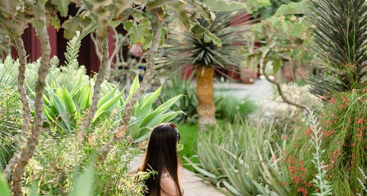 Woman surrounded by lush succulents and tall cacti in a garden pathway