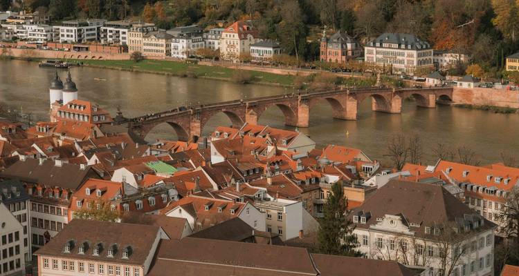 Panoramic aerial view of Heidelberg old town with red-tiled roofs, historic stone arch bridge crossing the Neckar River and forested hills behind