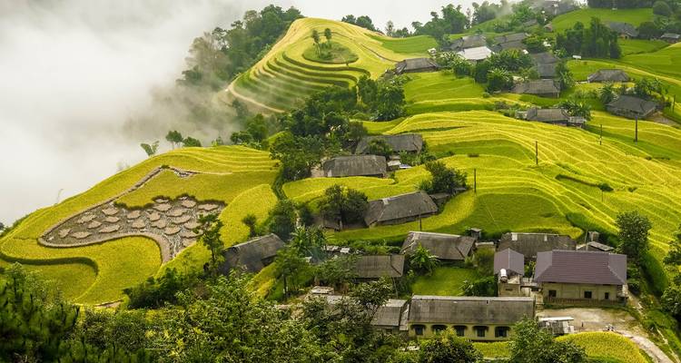 Terrazas de arroz dorado descendiendo hacia un valle brumoso salpicado de casas rurales