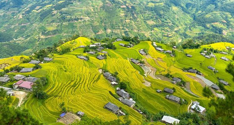 Amplia vista aérea de terrazas ondulantes de color amarillo verdoso con casas de aldea dispersas