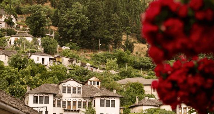 Stone houses with slate roofs nestle among forested hillsides, framed by bright red flowers in the foreground.
