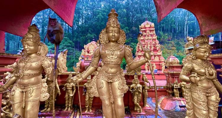 Gold-painted Hindu deities and a curious monkey sit before a lush rainforest backdrop after rain.