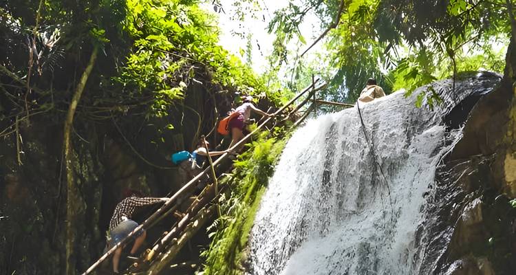 Les voyageurs montent une échelle en bambou à côté d'une cascade qui coule dans une jungle dense.