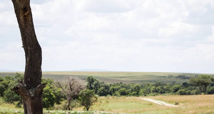 Trunk of a tree in the foreground overlooking a flat grassy plain under a partly cloudy sky.