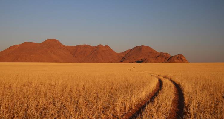Tire tracks curve through endless golden grass toward rugged desert mountains under a cloudless sky.