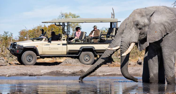 An elephant drinks at a waterhole while guests observe from an open safari vehicle nearby.