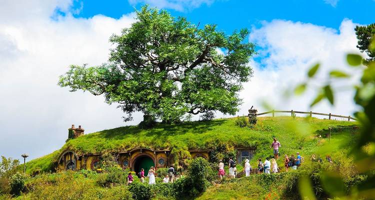 Ladera verde y exuberante de Hobbiton con puertas de agujeros de hobbits circulares y visitantes explorando.