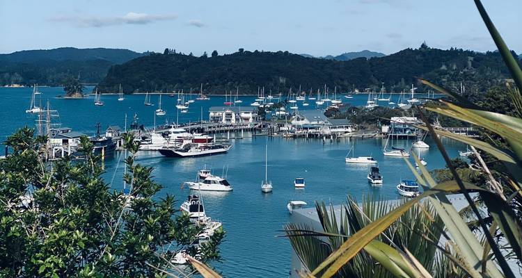 Un tranquilo puerto lleno de yates y veleros acurrucados entre colinas boscosas en la Bahía de Islas.