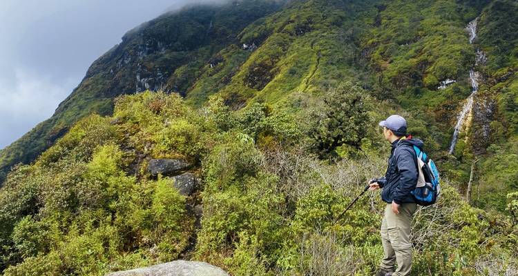 Randonneur en solo avec sac à dos et bâtons de trekking admirant des montagnes vertes escarpées couronnées de brouillard
