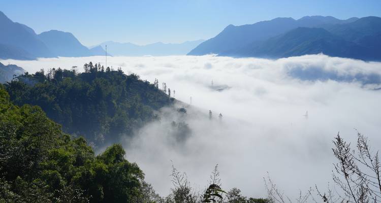 Des collines verdoyantes et luxuriantes entourent une vallée remplie d'un brouillard matinal ondulant sous des ciels d'un bleu cristallin.