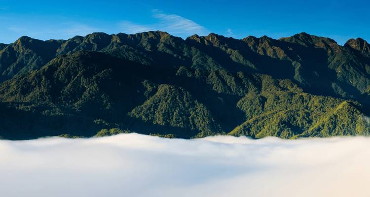 Une chaîne de montagnes densément boisées s'élève majestueusement au-dessus d'un océan de nuages bas sous un ciel d'un bleu cristallin.