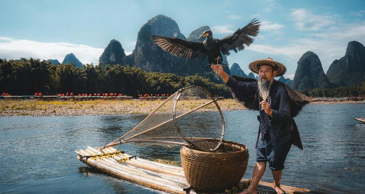Pescador tradicional de cormoranes equilibrando el ave en una balsa de bambú con montañas de karst de fondo