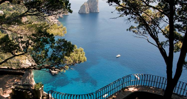 Vue à travers les pins sur les eaux turquoise et les imposantes formations rocheuses au large de l'île de Capri.