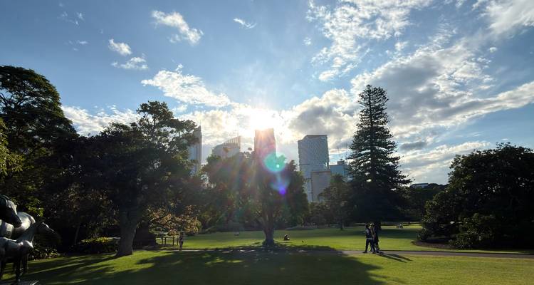 La luz del sol irrumpe a través de los árboles en un parque dentro de la ciudad con rascacielos de Sídney silueteados atrás.