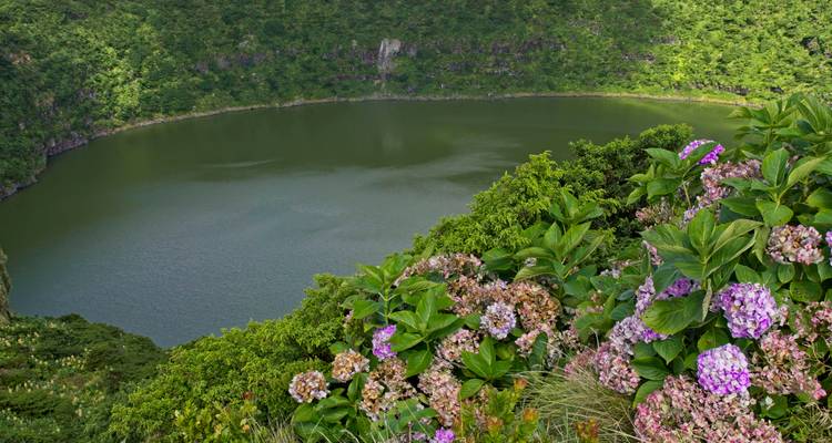 Un lac de cratère tranquille bordé par une végétation luxuriante et des hortensias en fleurs.