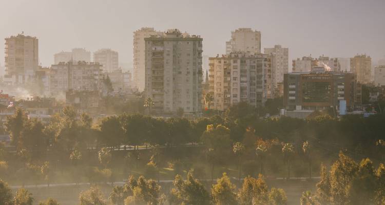 Luz matinal brumosa sobre el moderno distrito residencial de rascacielos con hileras de palmeras