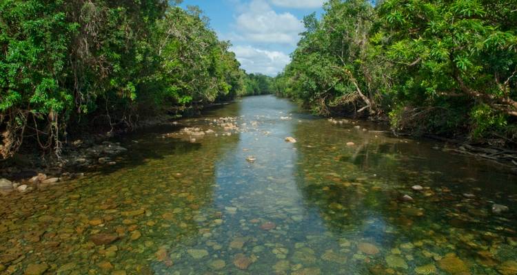 Rivière de forêt tropicale cristalline bordée d'arbres épais se reflétant dans une eau calme sous un ciel bleu.