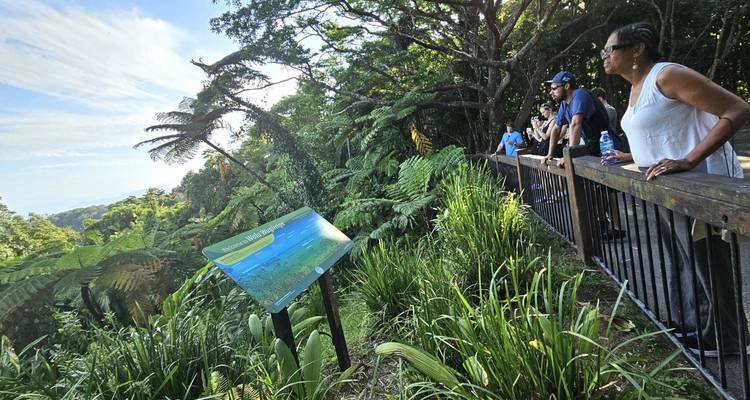 Des voyageurs s'appuient sur une rampe de belvédère en bois dans une forêt tropicale dense en lisant un panneau d'information.