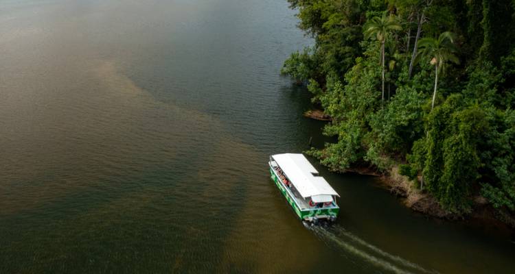 Tour boat cruises along a rainforest river creating a wake beside lush green banks.