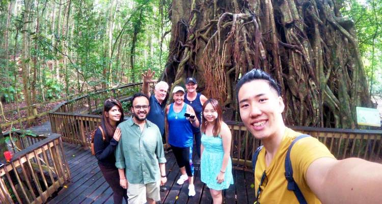 Smiling group selfie on a wooden rainforest boardwalk beside a massive strangler fig.
