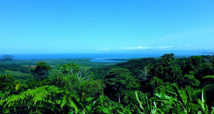 Elevated viewpoint looks over dense green rainforest toward the distant ocean horizon.