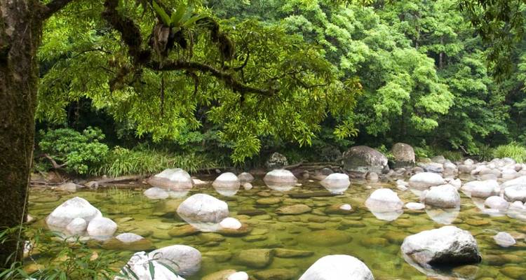 Clear rainforest stream dotted with large round boulders beneath lush green canopy.