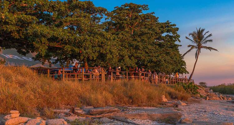 Mensen verzamelen zich op een houten boardwalk naast bladrijke bomen en een eenzame palmboom, terwijl goudkleurig zonsondergangslicht de kustkruid beschijnt.