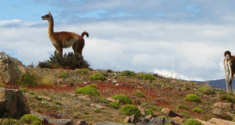Patagonia Wilderness - Intrepid Travel