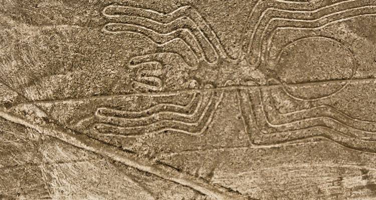 Vue aérienne détaillée du géoglyphe araignée des Lignes de Nazca gravé dans le sol du désert