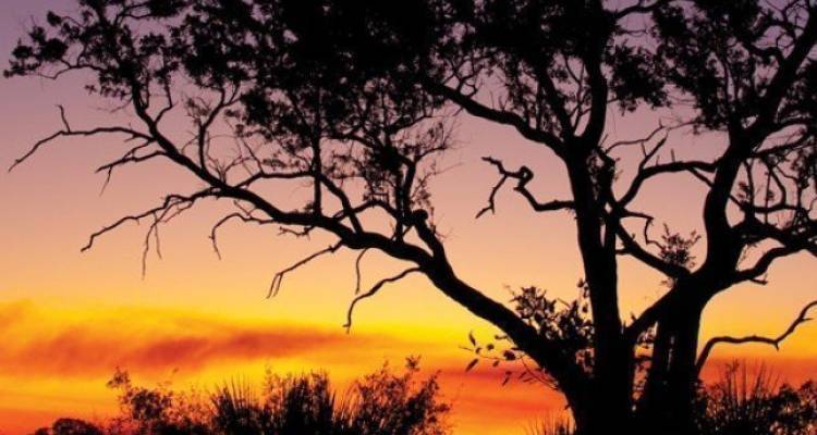 Okavango Experience - Intrepid Travel