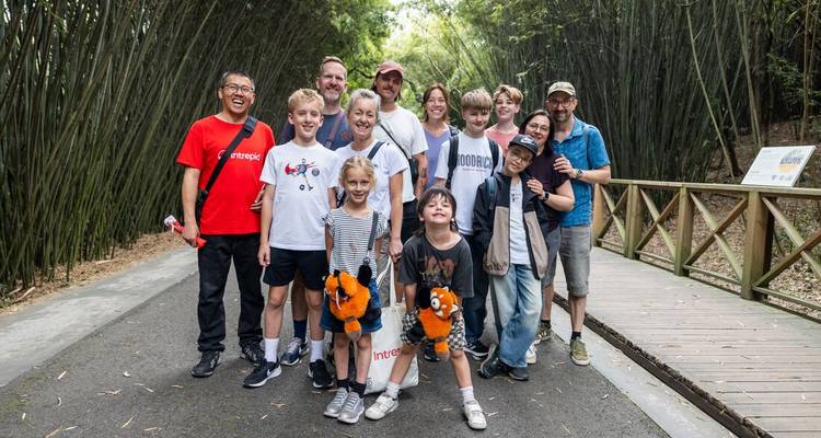 Un grupo de personas en una zona de bosque de bambú.
