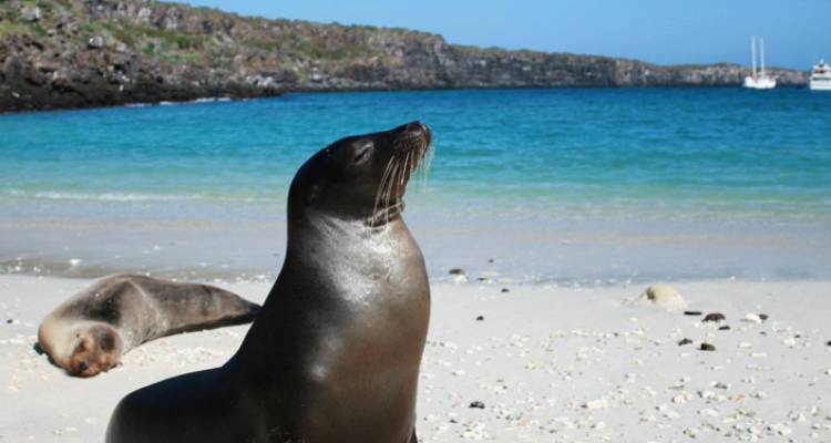 Best of Galapagos - Intrepid Travel