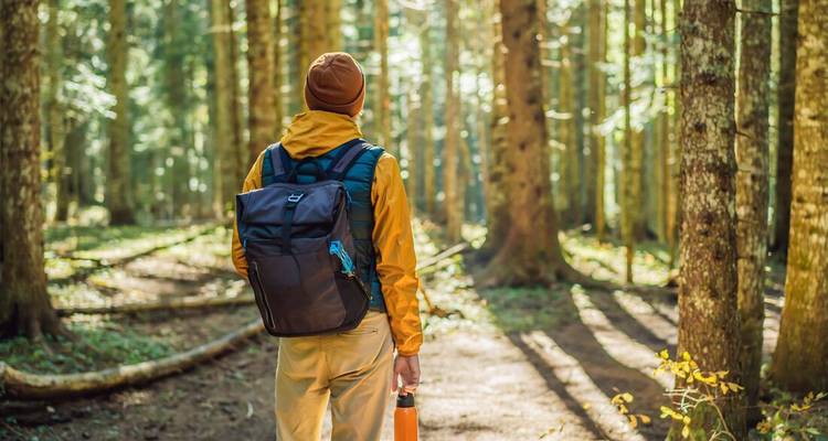 Personne avec un sac à dos marchant dans une forêt ensoleillée.
