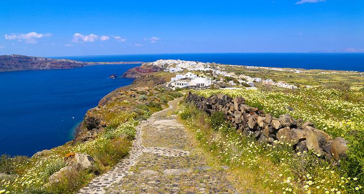 Scène côtière pittoresque avec des fleurs sauvages, un sentier de pierre et des falaises.