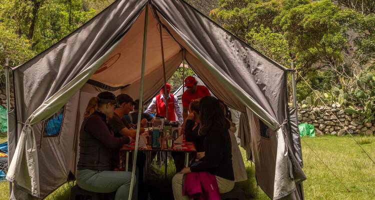 Group of people sitting inside a tent dining.