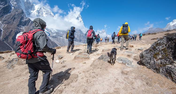 Wandelaars en een vriendelijke hond traverseren een kaal alpien plateau met sneeuwbedekte pieken en blauwe lucht.