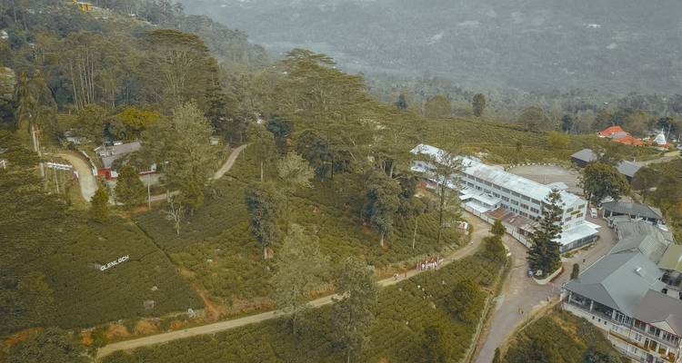 Aerial view of tea plantation fields with a building complex.