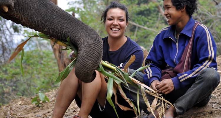 Conservation of Elephants in Huay Pakoot, Thailand (7n+) - Global Vision International