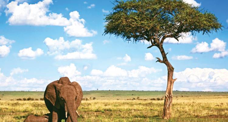Kenya Wildlife Safari - Intrepid Travel