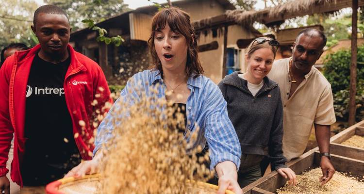 People participating in a traditional activity, sifting and sorting beans.