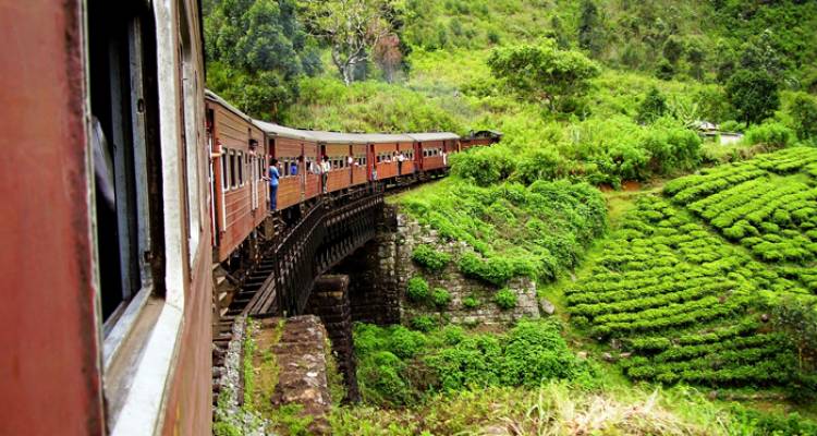 Circle Sri Lanka - Intrepid Travel