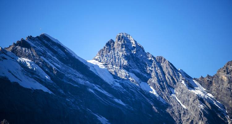 Schneegipfel vor blauem Himmel.
Or more literally: Schneebedeckte Berggipfel vor blauem Himmel.