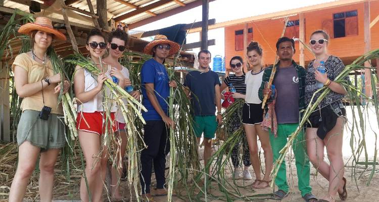 15 Day Elephant Experience in Surin - Thailand - Starfish Adventure