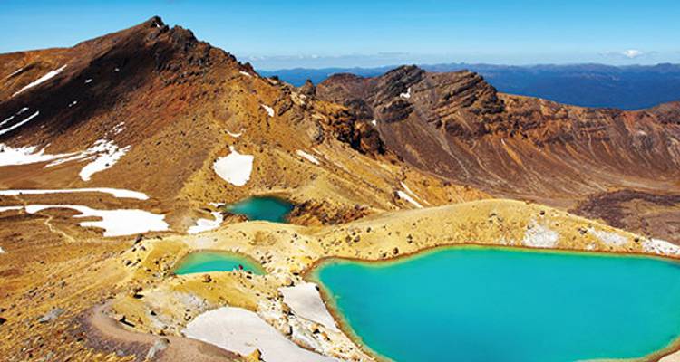 Grand Kiwi (ex. Christchurch) (Ohau, Kiakoura) - Topdeck