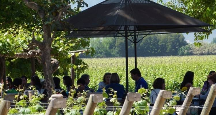 Lakes District Discovery - Lakes & Wines of Argentina & Chile - Bariloche to Santiago - Viva Expeditions