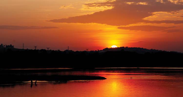 Desert Tracker (25 Day) 2018-19 (Western Cape Citrus Area, Elephant Sands, Chobe National Park, Matobo National Park, Greater Kruger, Kruger National Park, Johannesburg) - Topdeck