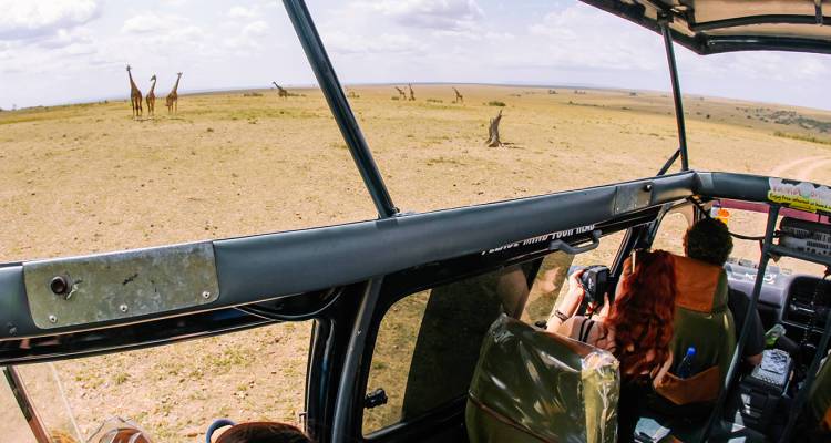 Cape Town to Kenya 2017-18 (Western Cape Citrus Area, Elephant Sands, Chobe National Park, Chipata, Malawi Beach, Lake Malawi, Serengeti National Park & Ngorongoro Crater) - Topdeck