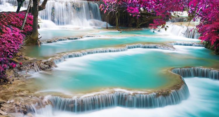 Des bassins turquoise soyeux dégringolent à travers une forêt luxuriante dans une scène de cascade onirique avec un feuillage rose vif