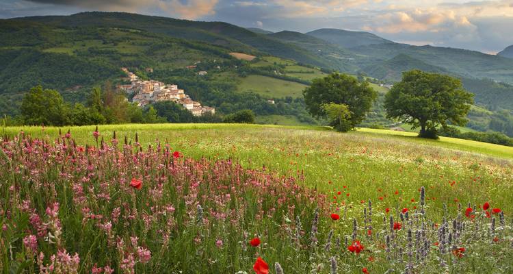 Culinary Paradise in Italy - Food N’ Wine Vacations