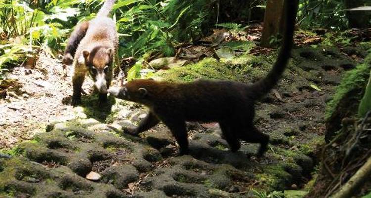 Costa Rica Family Adventure - World Expeditions